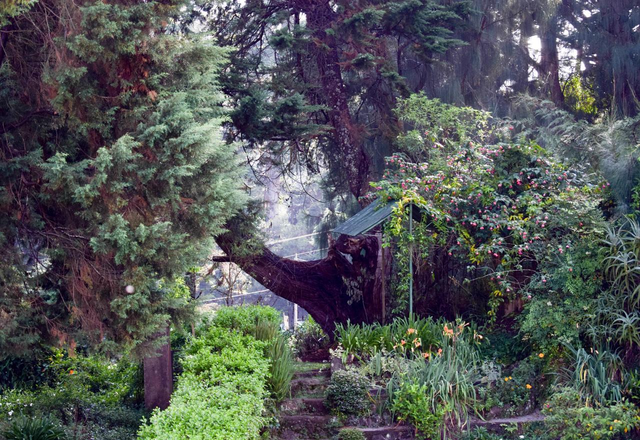 Mount Mary Inn Nuwara Eliya Exteriör bild