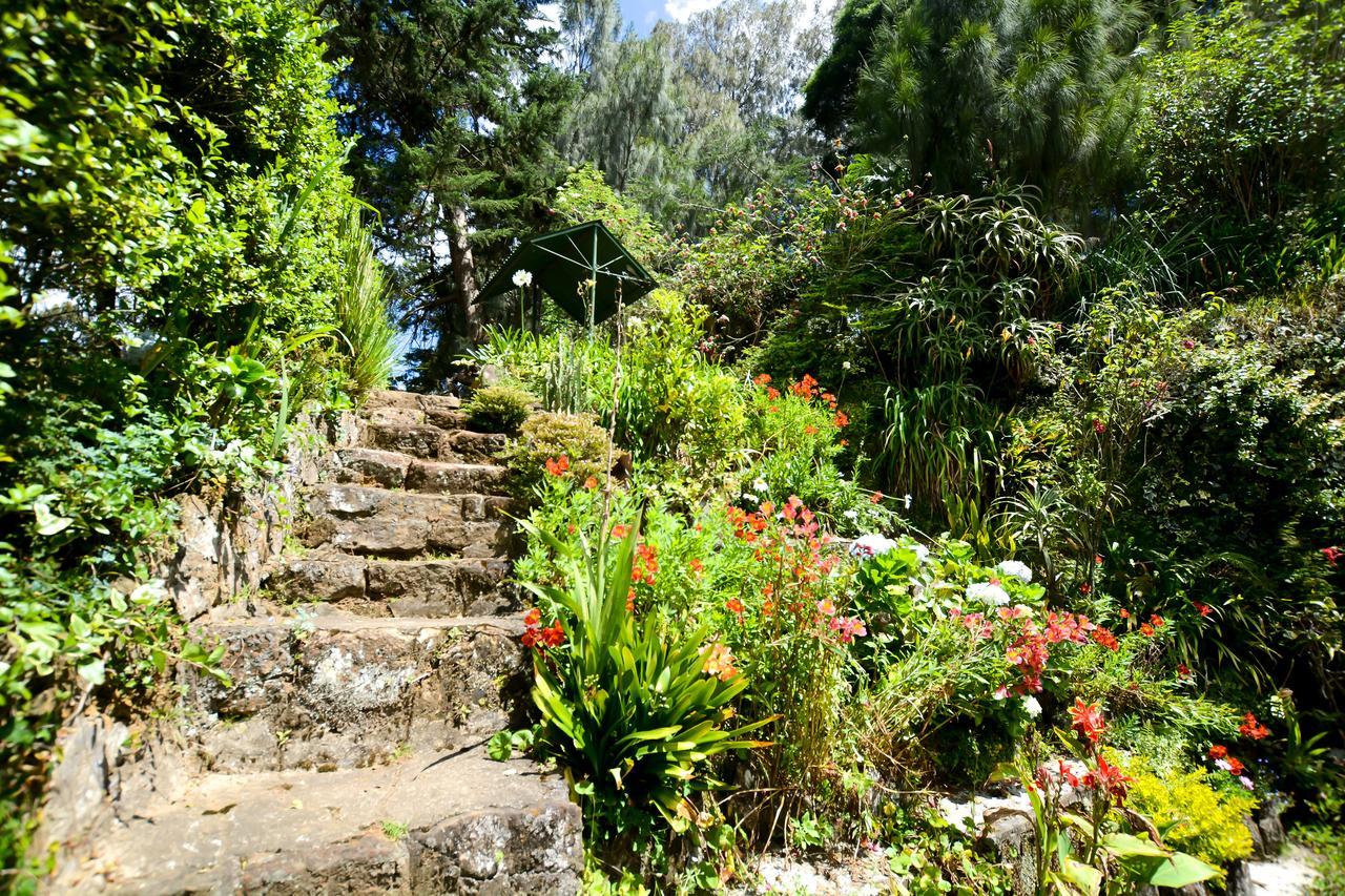 Mount Mary Inn Nuwara Eliya Exteriör bild